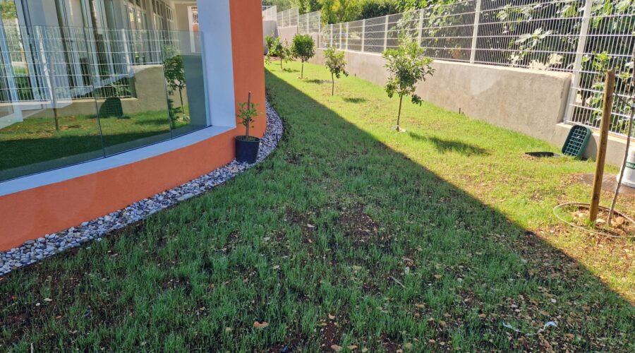 PHOTO-2023-12-20-12-21-47 2 PHOTO-2023-12-20-12-21-47 2